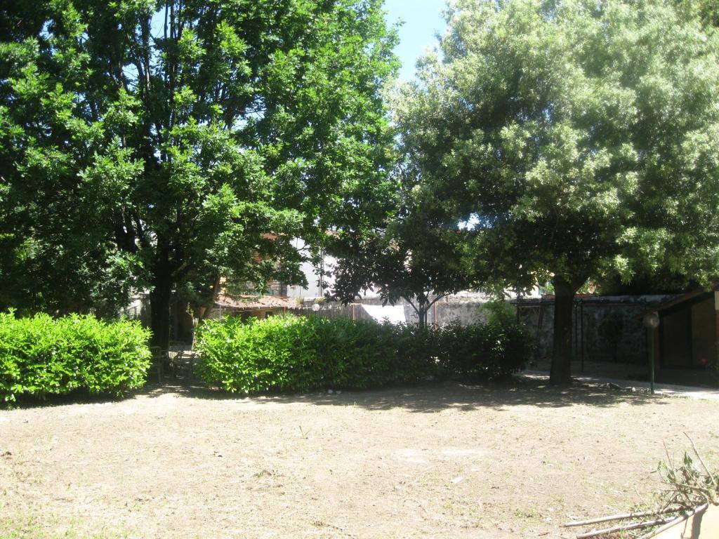 לוקה Villa Patrizia B&B מראה חיצוני תמונה